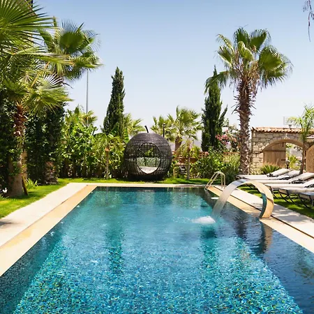 Hotel Avalon Boutique &