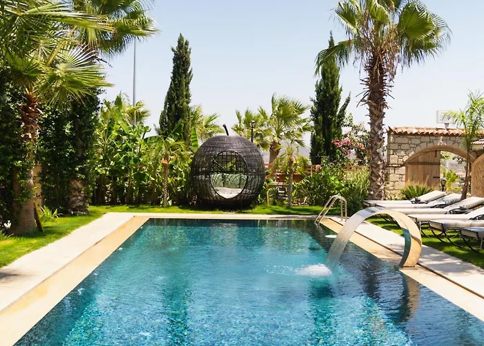 Hotel Avalon Boutique &